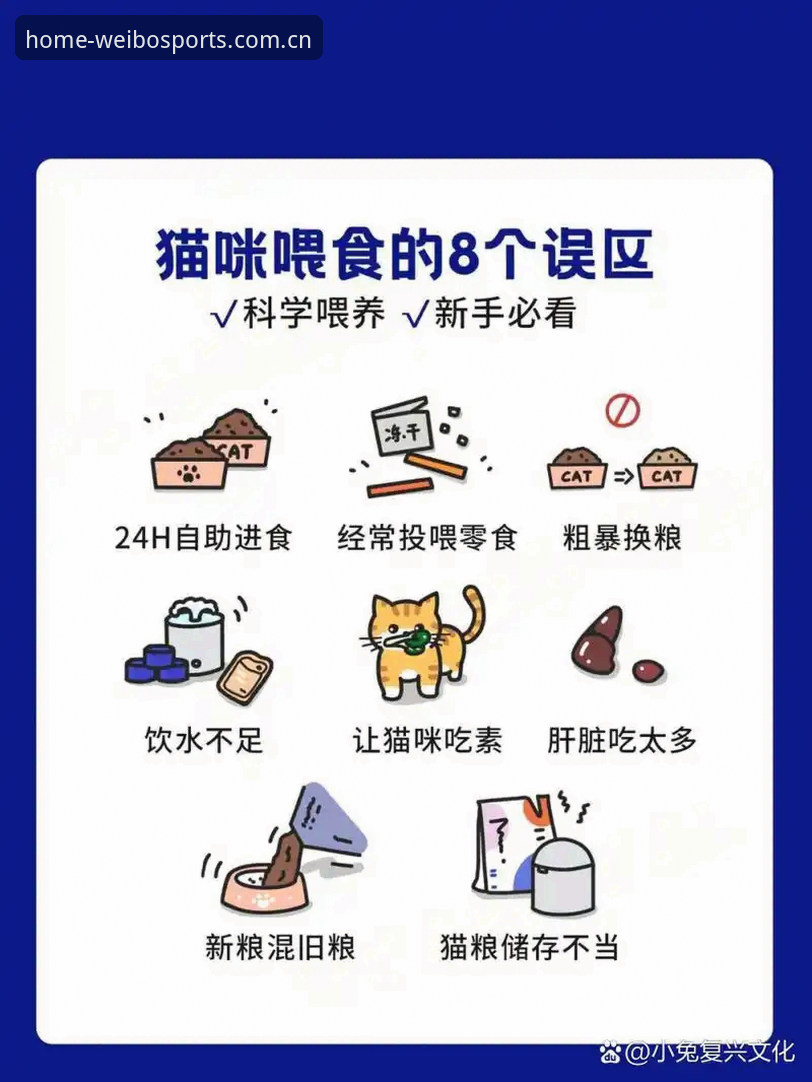 新手必看：2026伟博体育百家乐使用心得与实战经验分享