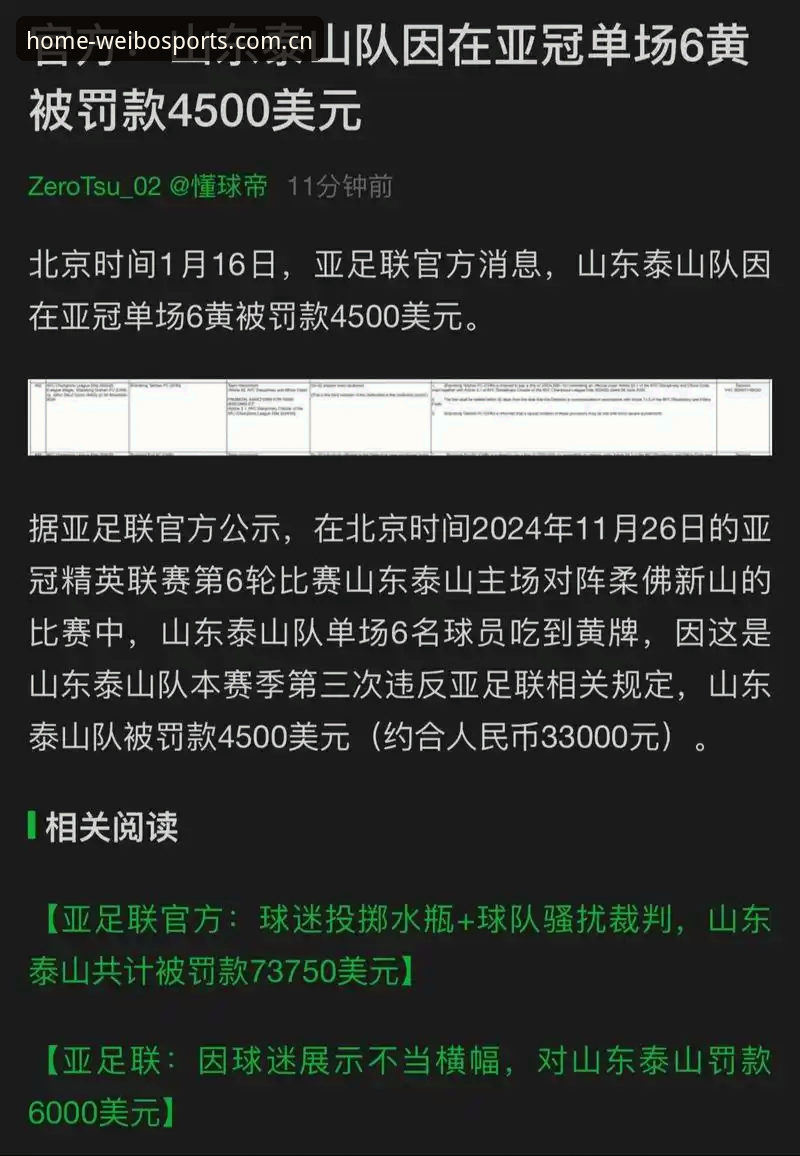 揭秘足协第三批禁足名单背后的乱象，深挖足球腐败链的隐秘角落